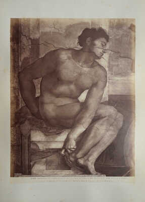 [Альбом фотографий фресок Сикстинской капеллы в Ватикане]. [конец XIX - начало XX в.].